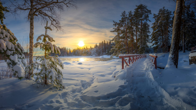 Snowy bridge lake trees dusk free wallpaper - medium preview image