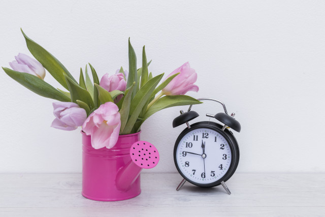 Pink vase flowers clock still free wallpaper - medium preview image