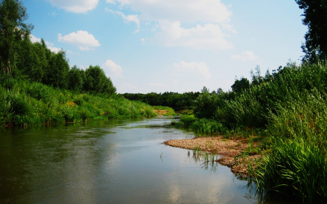 River forest blue sky nature free wallpaper - medium preview image
