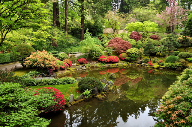 Pond trees bushes bridge house free wallpaper - medium preview image