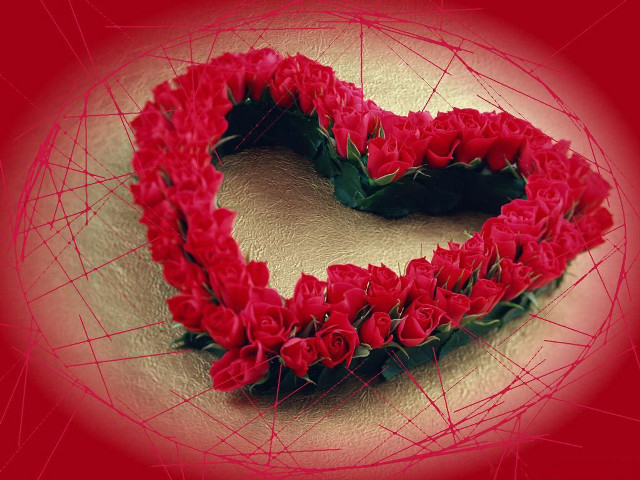 Heart roses red flower love free wallpaper - medium preview image