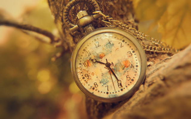 Pocketwatch tree fall magic roman free wallpaper - medium preview image