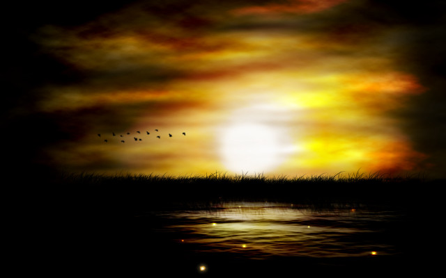 Sunset birds water ocean sky free wallpaper - medium preview image