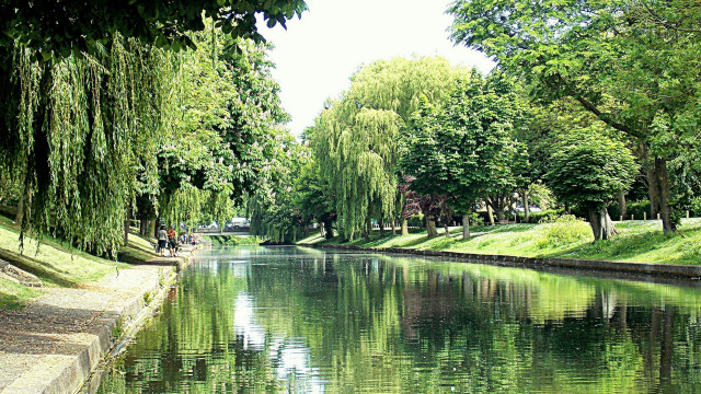 River park trees people scenery free wallpaper - medium preview image