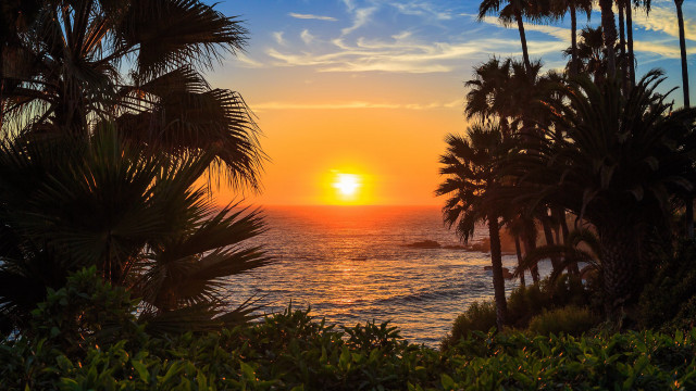 Sunset ocean palm trees boats free wallpaper - medium preview image