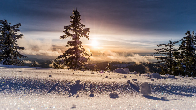 Snowy hill tree sunset beams free wallpaper - medium preview image
