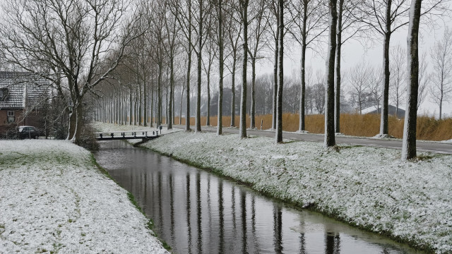 River snowy park bridge trees free wallpaper - medium preview image