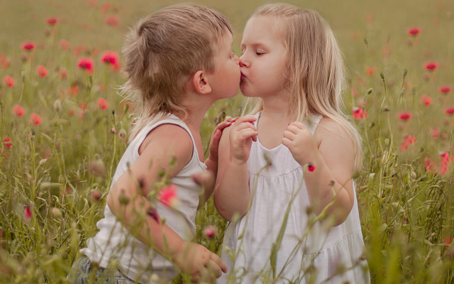 Girls kissing flower field blurry free wallpaper - medium preview image