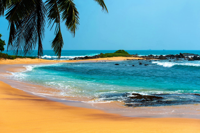 Beach palm tree waves sky free wallpaper - medium preview image