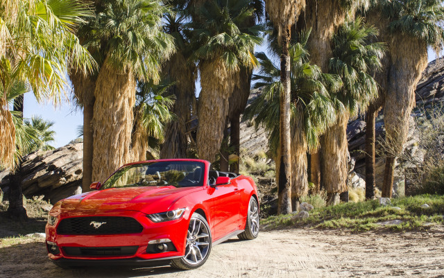 Red mustang convertible palm trees free wallpaper - medium preview image
