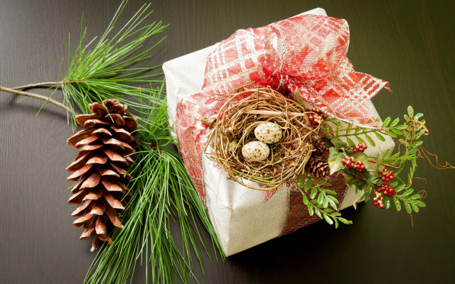Wrapped present bird nest pine free wallpaper - medium preview image