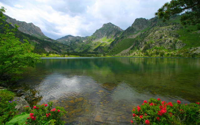 Lake mountains flowers cloudy sky free wallpaper - medium preview image