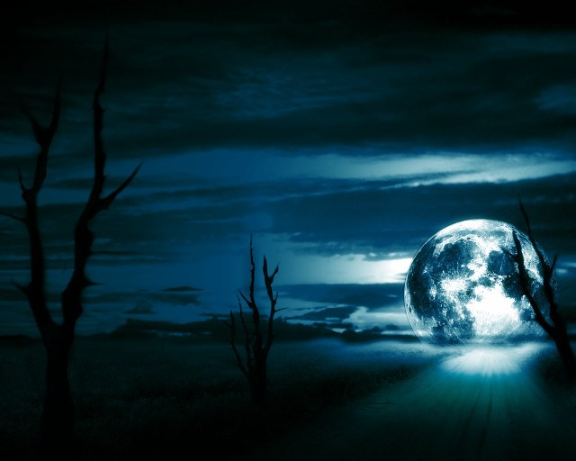 Full moon dead trees matte free wallpaper - medium preview image