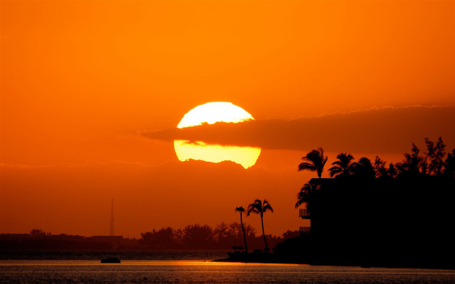 Sunset palm trees boat orange free wallpaper - medium preview image