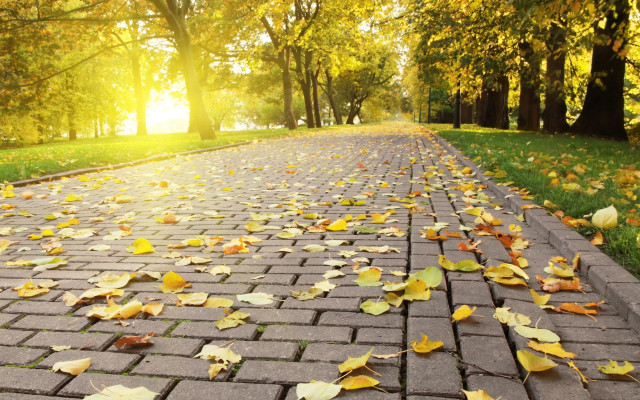Fall brick road leaves autumn free wallpaper - medium preview image