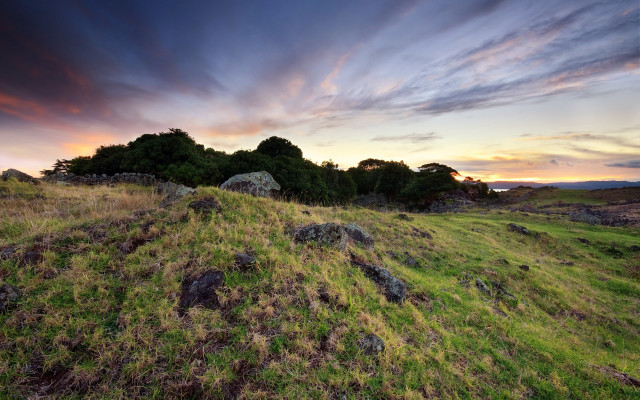 Grassy field rocks trees sunset free wallpaper - medium preview image