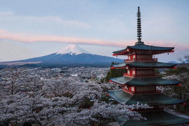 Pagoda mountain cherry blossoms bloom free wallpaper - medium preview image