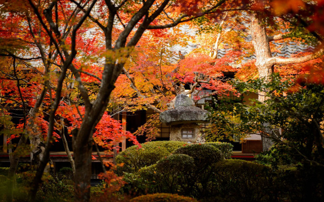 Autumn house trees fall leaves free wallpaper - medium preview image