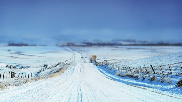 Snowy road fence cow winter free wallpaper - medium preview image