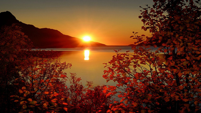 Sunset lake mountain trees autumn free wallpaper - medium preview image
