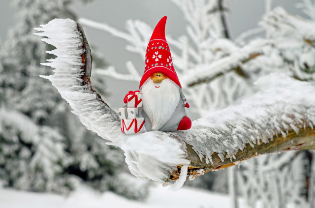 Gnome red hat red bag free wallpaper - medium preview image