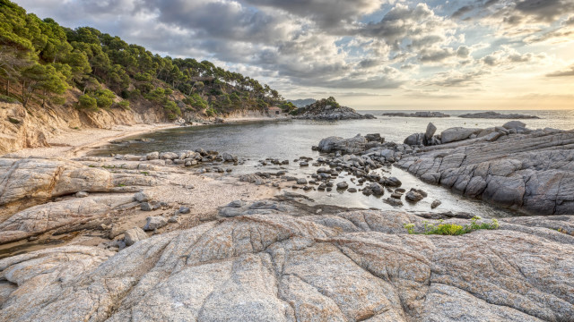 Rocky beach sunset trees cloudy free wallpaper - medium preview image