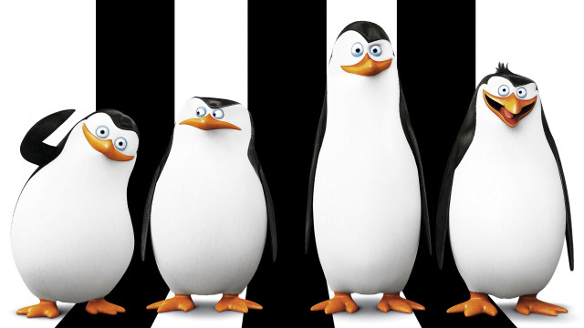 Penguins group blackwhite striped face free wallpaper - medium preview image