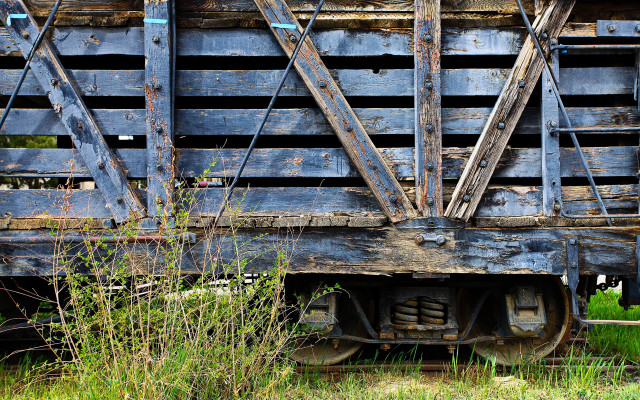 Train car overgrown urban scene free wallpaper - medium preview image