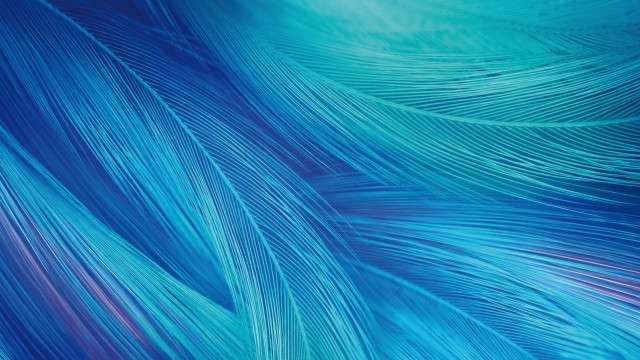 Blue feathers red center generative free wallpaper - medium preview image