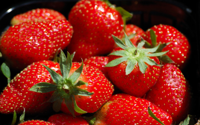 Strawberries water droplets green stem free wallpaper - medium preview image