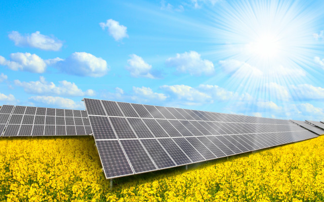 Flower field solar panel sunlight free wallpaper - medium preview image