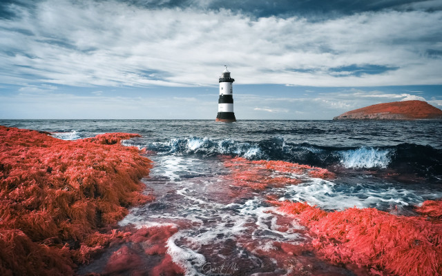 Lighthouse rocky shore red seaweed free wallpaper - medium preview image