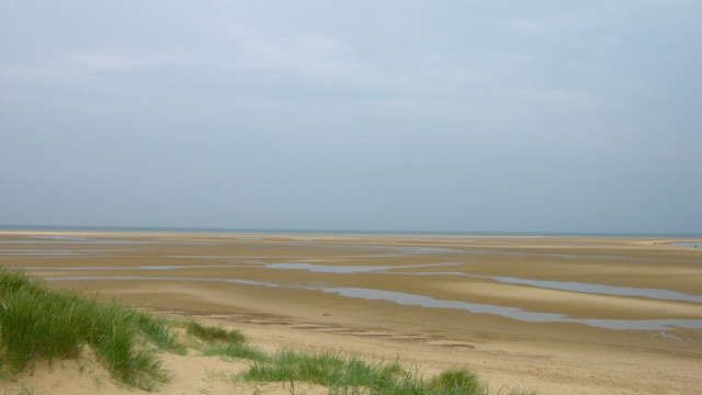 Sandy beach green plants water free wallpaper - medium preview image