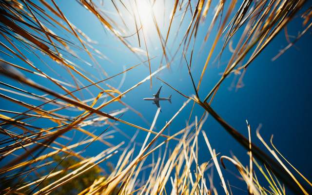 Plane blue sky tall grass free wallpaper - medium preview image
