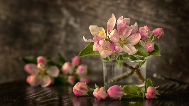 Pink flowers vase still life #2 free wallpaper - medium preview image