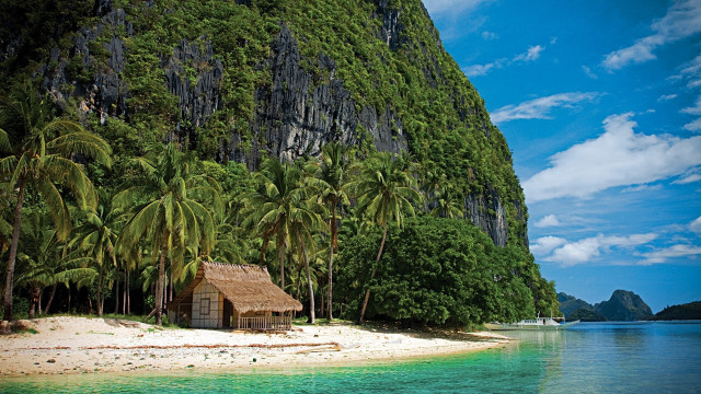 Tropical hut palm trees beach free wallpaper - medium preview image