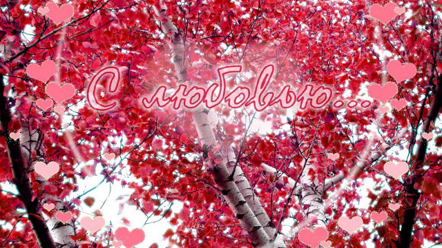 Tree love hearts autumn leaves free wallpaper - medium preview image