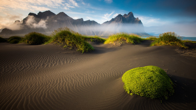 Desert green plant mountains clouds free wallpaper - medium preview image
