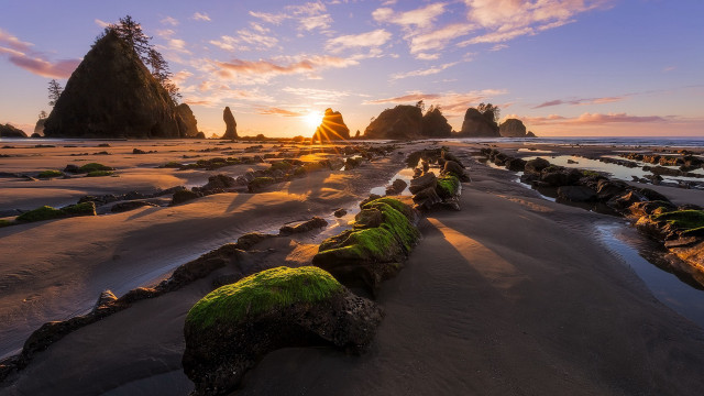 Beach rocks moss sunset trees free wallpaper - medium preview image
