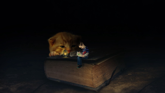 Cat book toy figure mouse free wallpaper - medium preview image