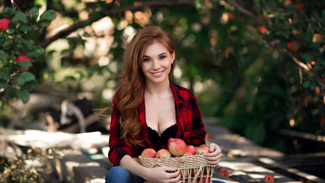 Elina karimova christmas basket apples free wallpaper - medium preview image