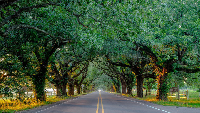 Autumn road fence trees shade free wallpaper - medium preview image