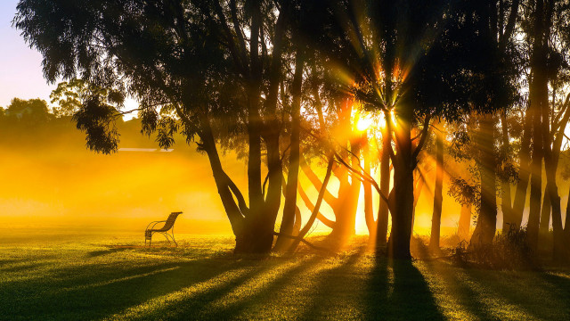 Field bench trees sunlight autumn free wallpaper - medium preview image