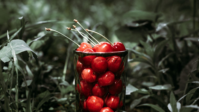 Cherry glass forest leaves photography free wallpaper - medium preview image