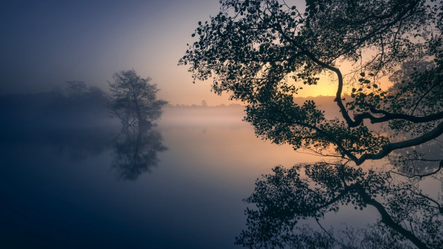 Foggy lake trees sunset mist #2 free wallpaper - medium preview image
