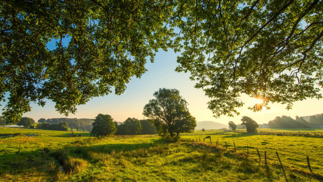 Sunset fence trees park bench free wallpaper - medium preview image