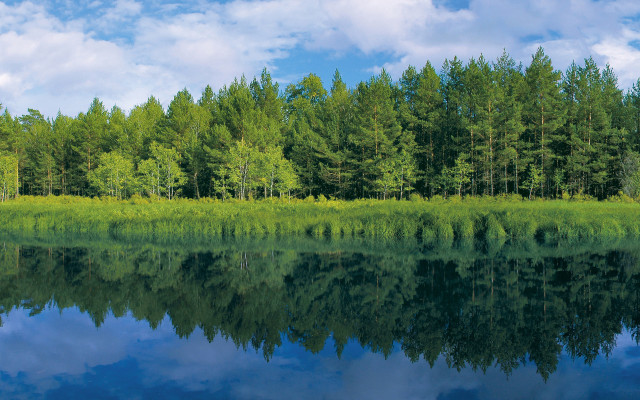 Lake trees grass clouds ecological free wallpaper - medium preview image