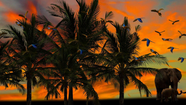 Sunset birds elephant matte painting free wallpaper - medium preview image