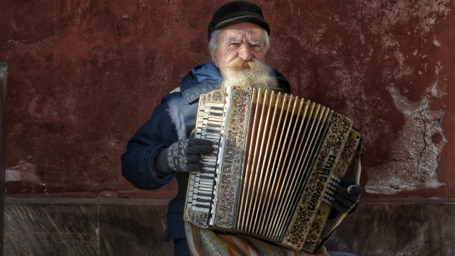 Bearded man accordion red wall free wallpaper - medium preview image