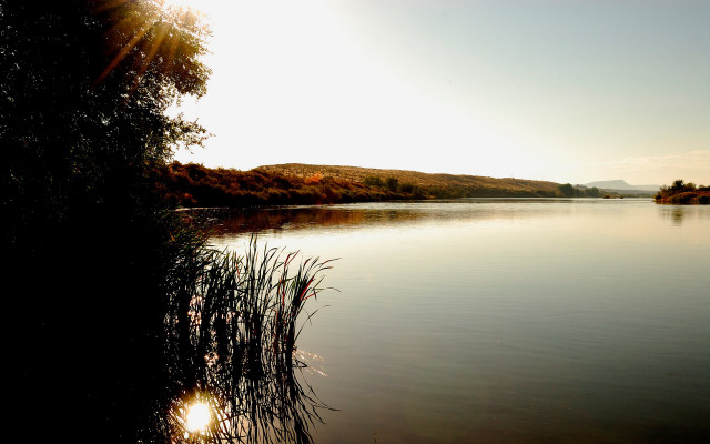 Lake trees hill sunshine water free wallpaper - medium preview image